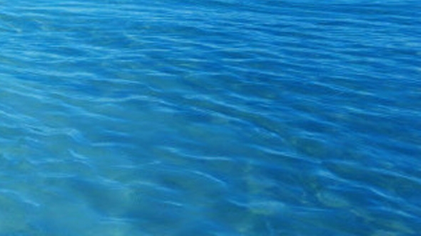 粉象生活适合干嘛