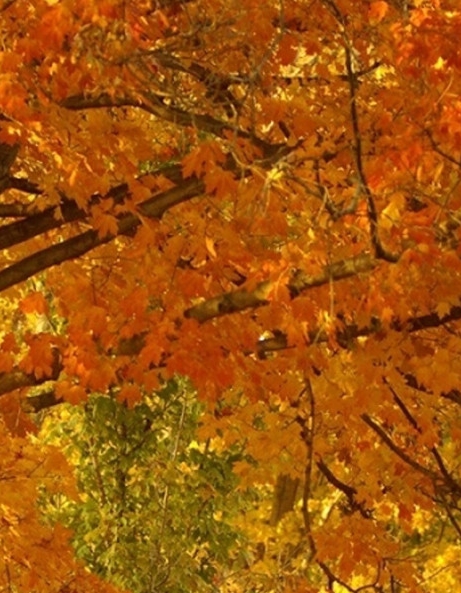 粉象生活可以送商品吗