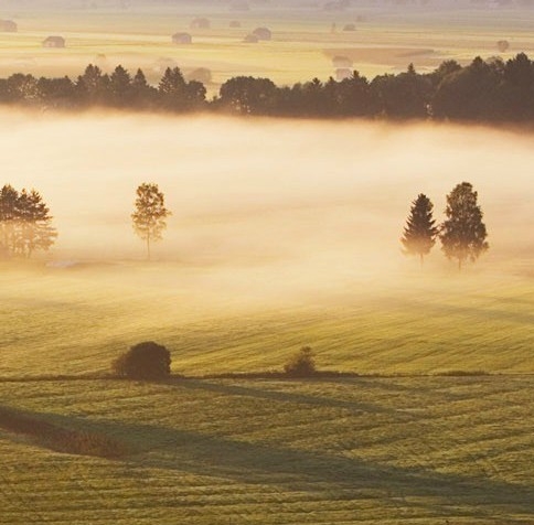 山东加盟粉象生活邀请人