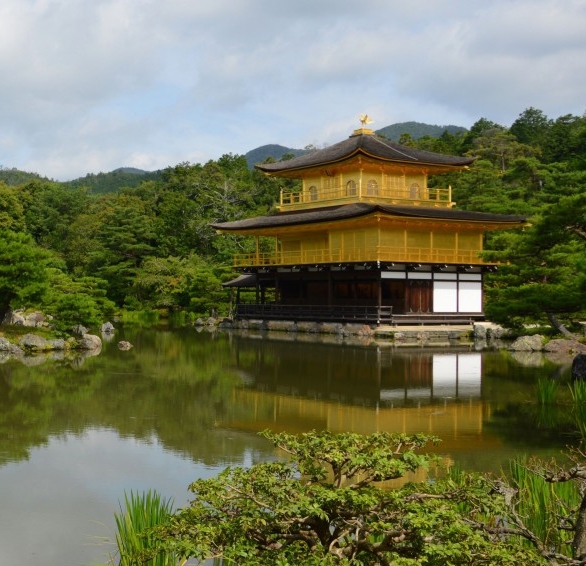 粉象生活传奇视频