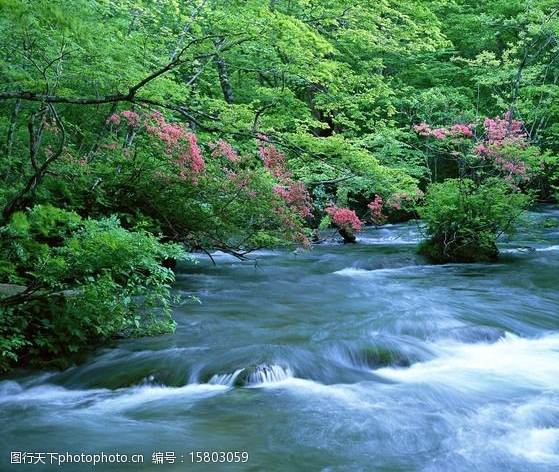 粉象生活升级后大概几天才看到收入