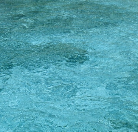 粉象生活能赚到钱吗