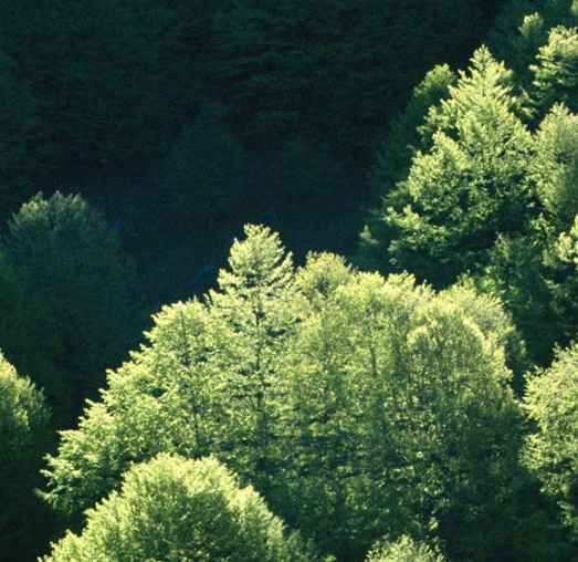 粉象生活邀请ld