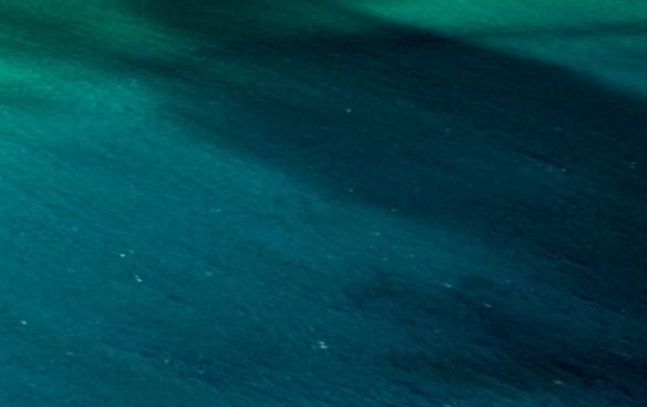 粉象生活粉丝买东西我能赚佣金吗