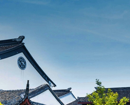 粉象生活裂变几代