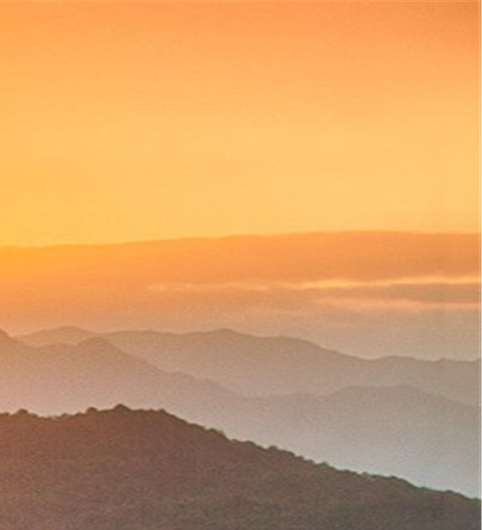 粉象生活和淘宝联盟哪个好