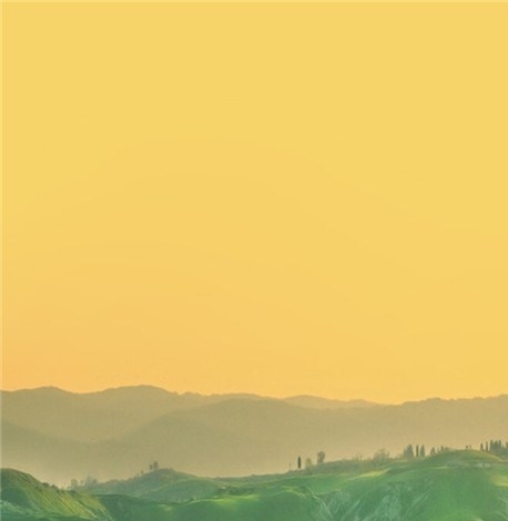 粉象生活发展如何