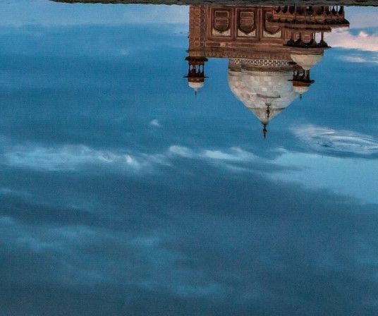 粉象生活邀请码