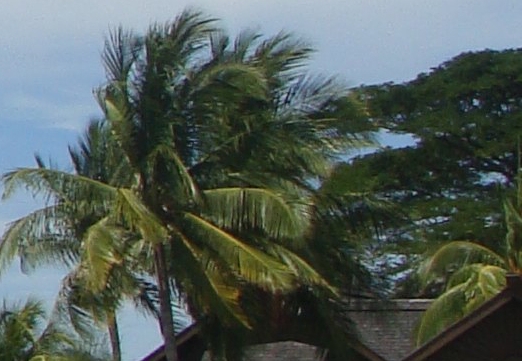 粉象生活下载app