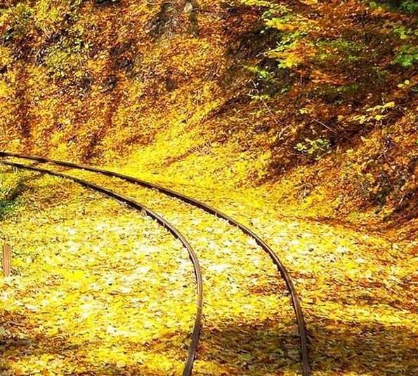 粉象生活彩票兑奖