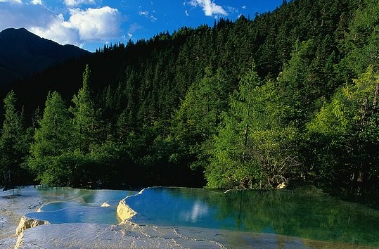 粉象生活软件推荐