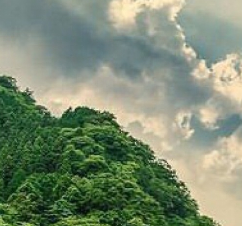 象大厨官网电话