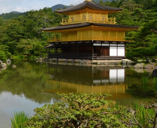 汕尾粉象生活合伙人