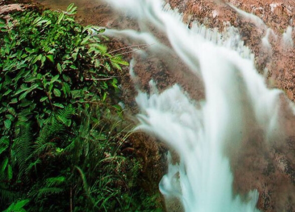 粉象生活下载v4.0