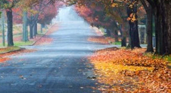 粉象生活兼职赚钱