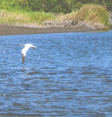 粉象生活邀请码