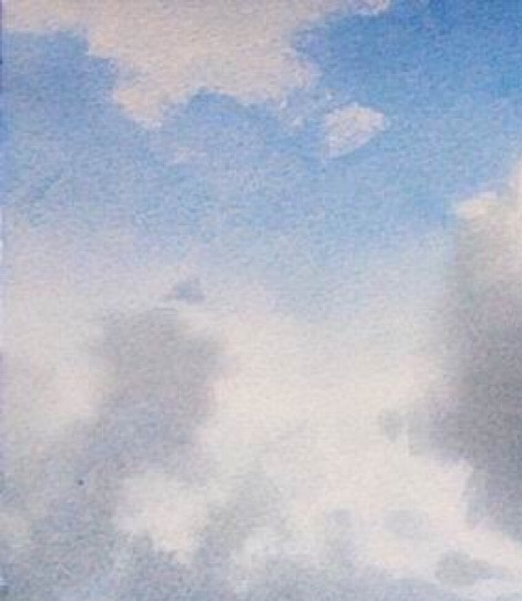 梅州粉象生活佣金