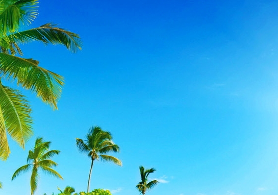 粉象生活做淘宝客服怎么样