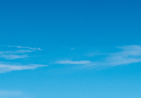 粉象生活宣传广告