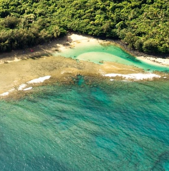 粉象生活怎么赚钱