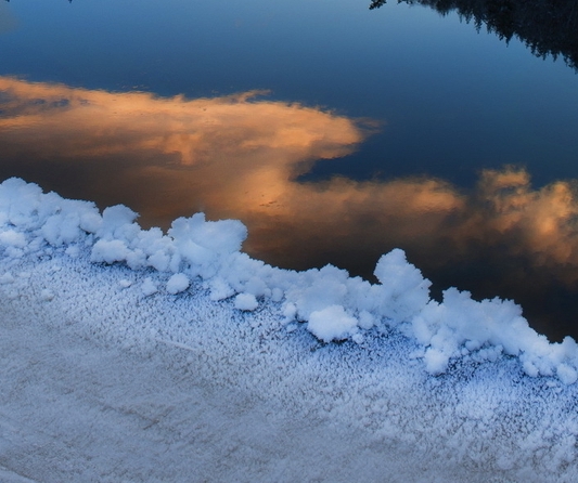 粉象生活视频任务