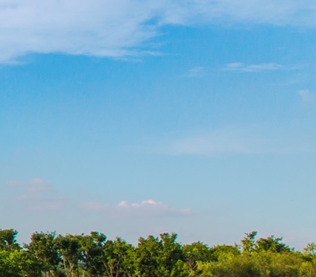 比利时小粉象啤酒