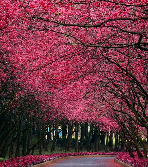 粉象生活怎么用付款码