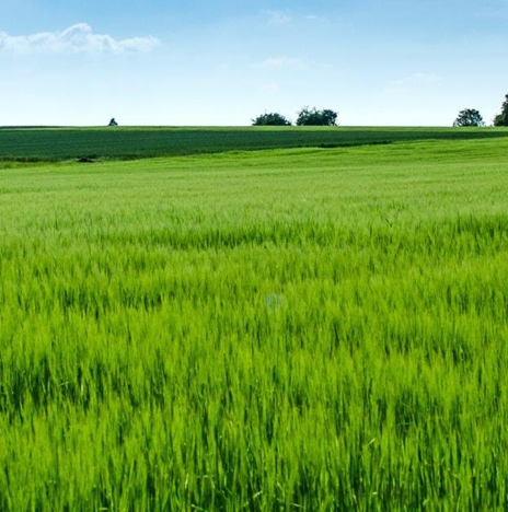 粉象生活邀请码