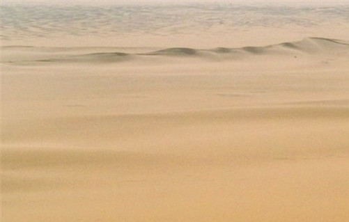 粉象生活平台定位