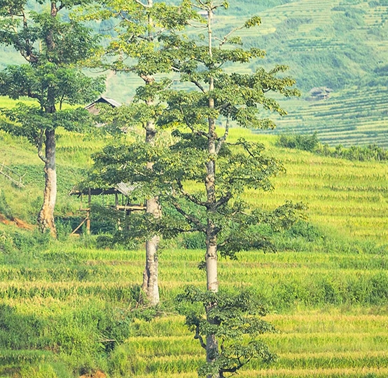 粉象生活怎么看谁赚钱