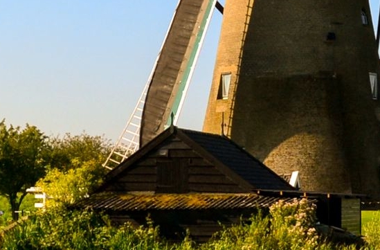 粉象生活可以看头条视频吗