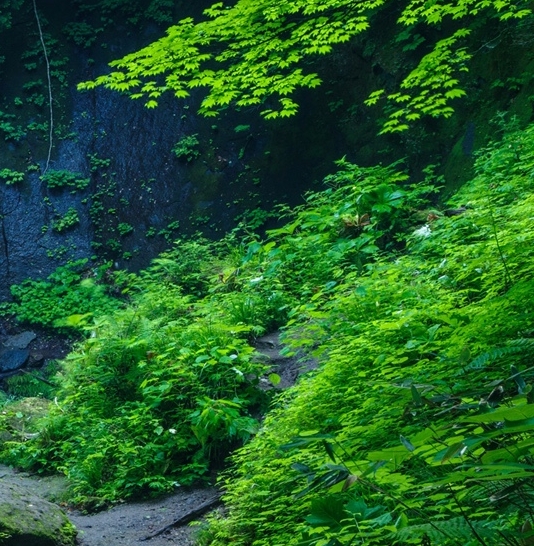 粉象生活下载官方正版