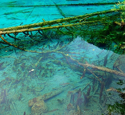 粉象生活是真的假的