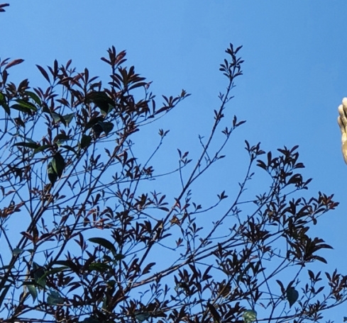 粉象生活官网首页