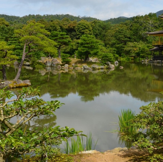 粉象生活粉丝怎么增加