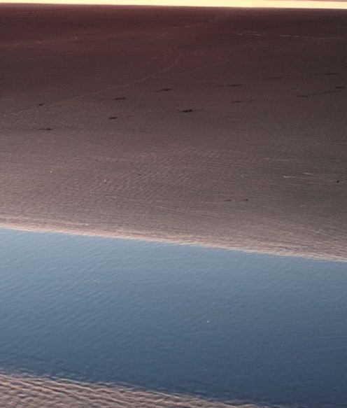 枣阳最低生活保障金