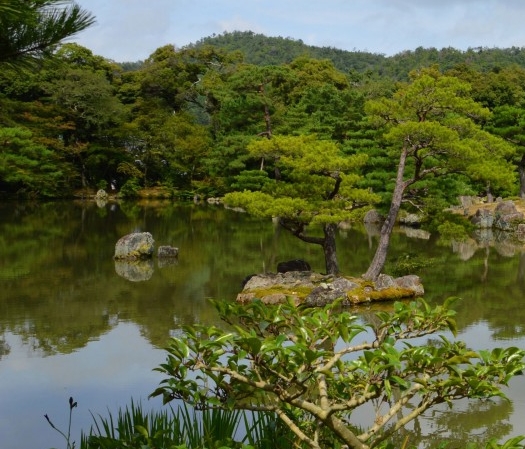 粉象生活如何入驻