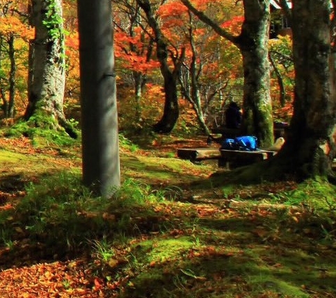 河南细粉氧化铝代理