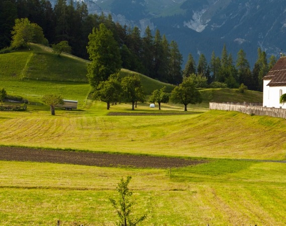 粉象生活未来视频