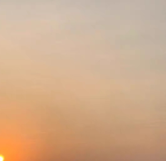 粉象生活发展体系