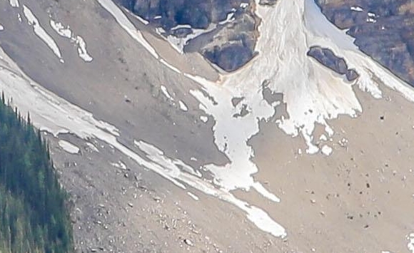 粉象生活下载app