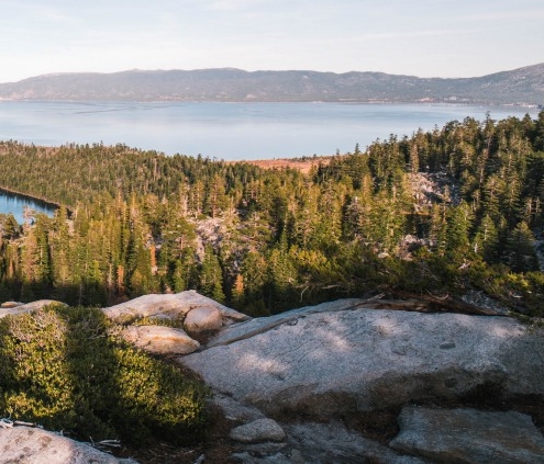 粉象生活是干嘛的