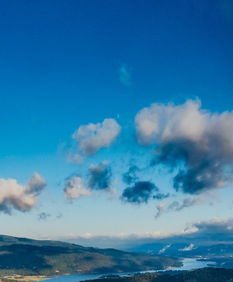 粉象生活是什么软件