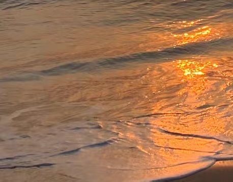 粉象生活买东西会骗人吗