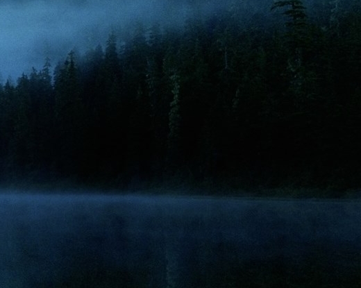 粉象生活能赚到钱吗