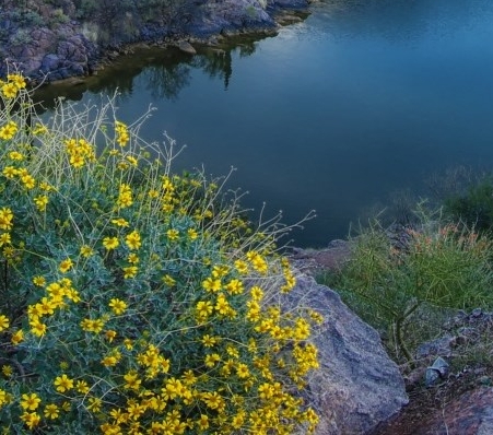 粉象生活邀请码