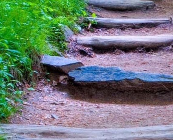 粉象生活下载app