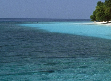 粉象生活买东西怎么查物流