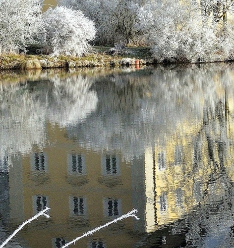粉象生活怎么赚钱的