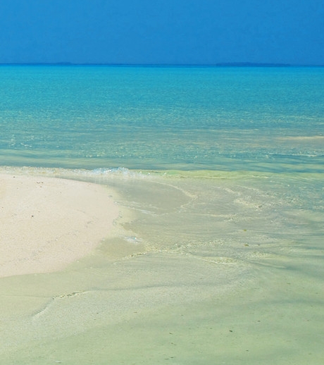 粉象生活能赚到钱吗